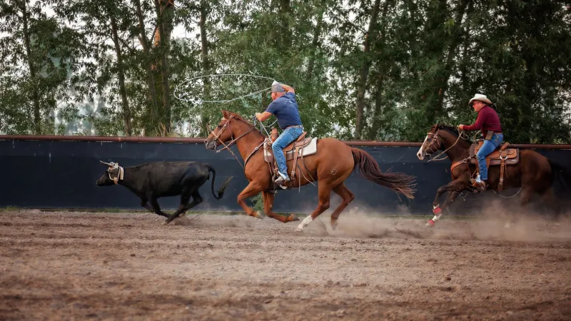 From the Screen to the Saddle: How Yellowstone Is Changing the Way Real Americans Ranch and Dress